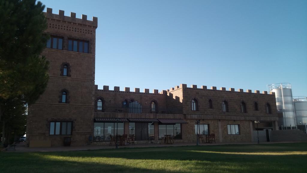 Hotel Vinedos Y Bodegas El Castillo Villarrobledo Exterior photo